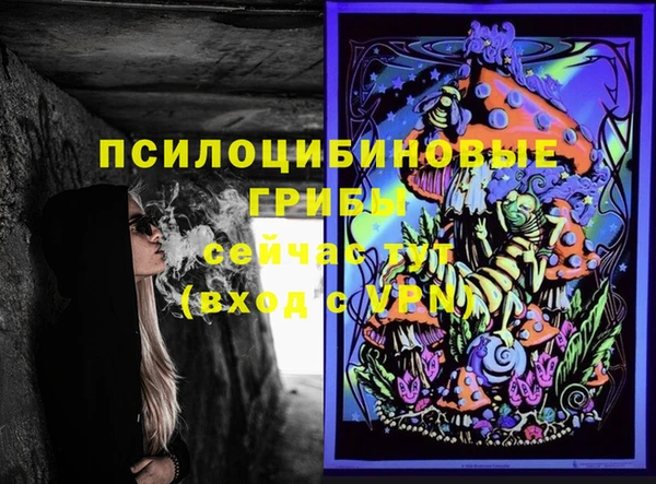 Альфа ПВП Зеленокумск
