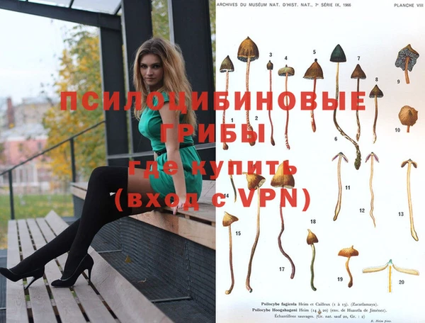 молекула духа Зерноград