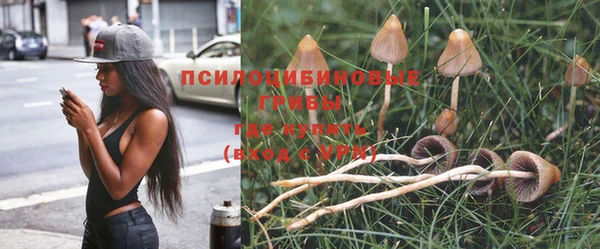 молекула духа Зерноград