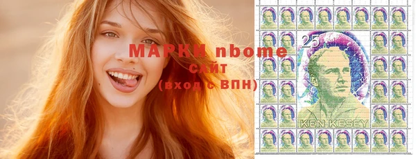 МДПВ Ельня