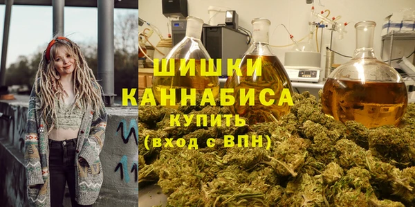 2c-b Елабуга