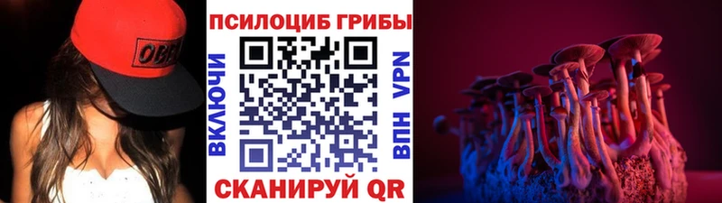Купить  Чусовой  Галлюциногенные грибы MAGIC MUSHROOMS 